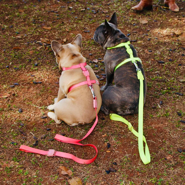 ZEE DOG NEOPRO BUBBLEGUM | H-HARNESS - MEDIUM