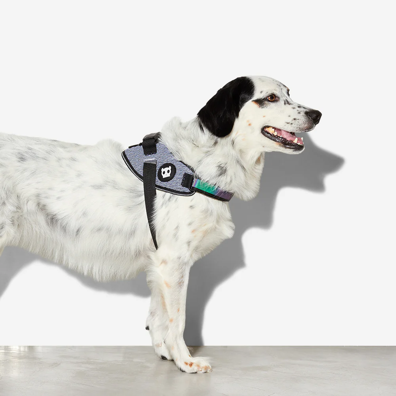 ZEE DOG URBAN | FLYHARNESS - SIZE 5