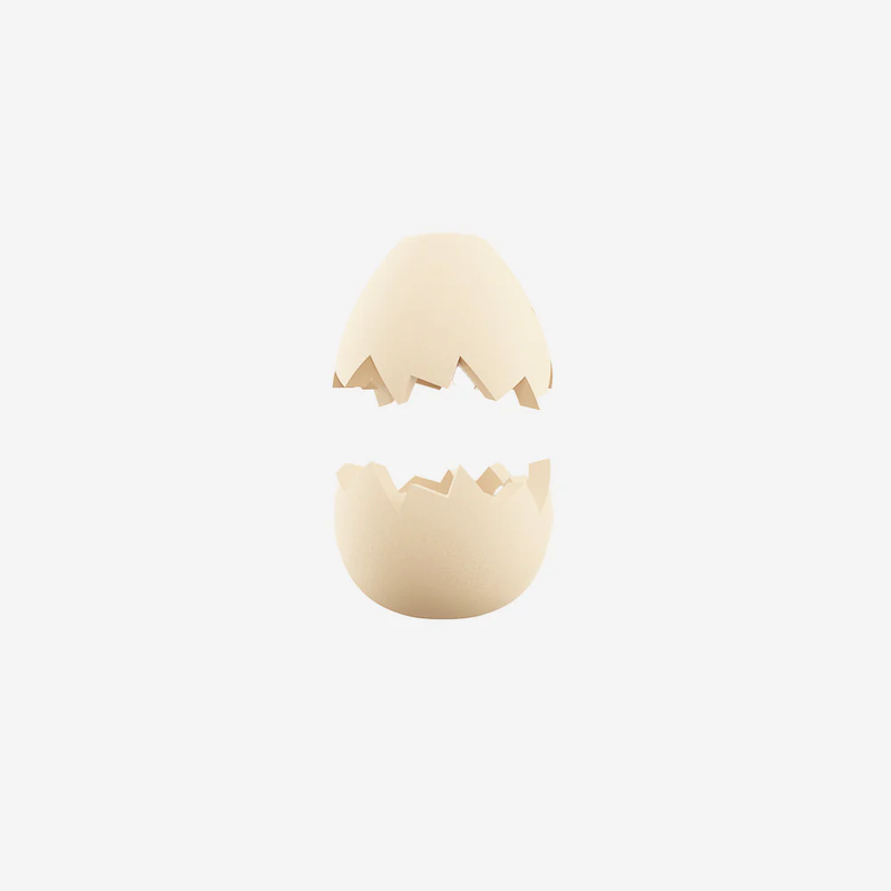 ZEE DOG EGG | ZEE.PINZ