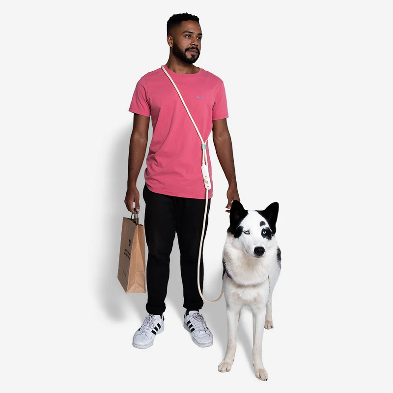 ZEE DOG VANILLA | HANDS-FREE LEASH