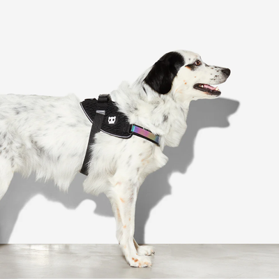 ZEE DOG GOTHAM | FLYHARNESS - SIZE 3