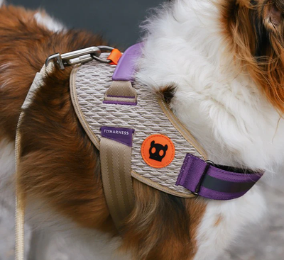 ZEE DOG ACG | FLYHARNESS - SIZE 3