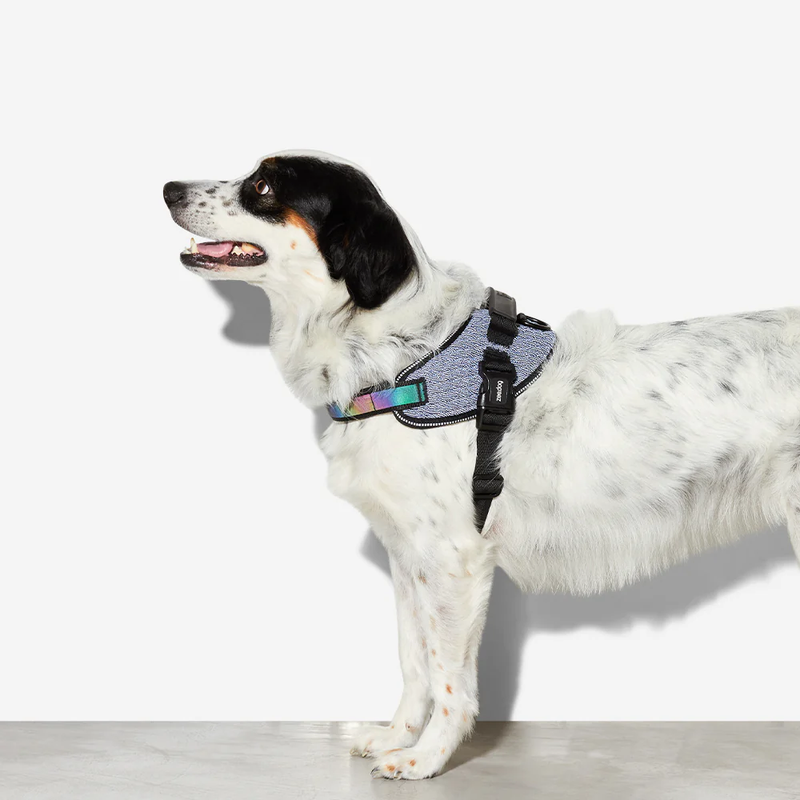 ZEE DOG URBAN | FLYHARNESS - SIZE 4