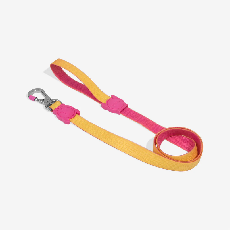 ZEE DOG NEOPRO LYRA | LEASH - SMALL