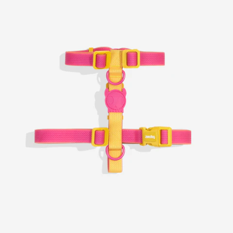 ZEE DOG NEOPRO LYRA | H-HARNESS - LARGE