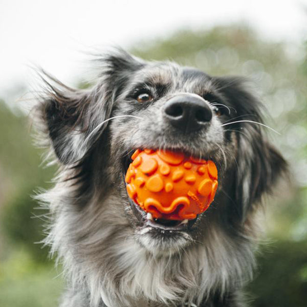 PELOTA NOVAFLEX PARA PERRO L - NARANJA