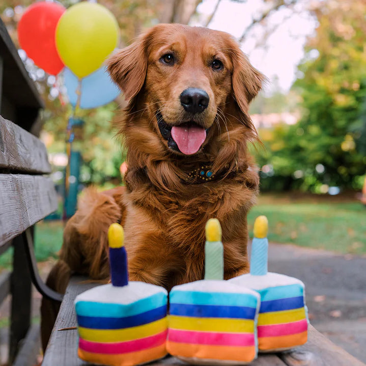 DULCE JUGUETE PARA PERRO-CELESTE