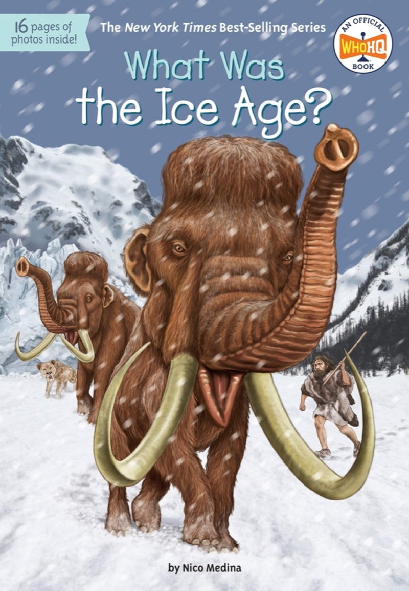 WHAT WAS THE ICE AGE