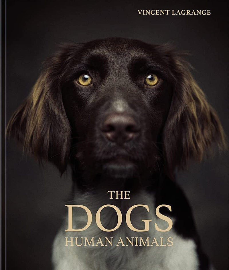 DOGS HUMAN ANIMALS