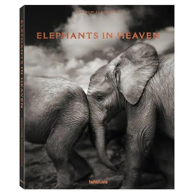 ELEPHANTS IN HEAVEN