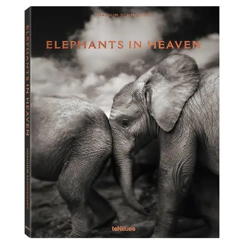ELEPHANTS IN HEAVEN