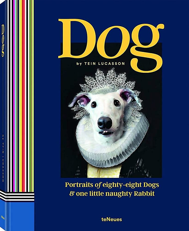 DOG PORTRAITS EIGHTY-EIGHT DOGS 1 LIT